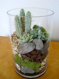 a glass filled with rocks and plants on top of a wooden table