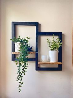 two square wooden shelves with plants and vases in them on the wall next to each other