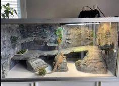 an aquarium with rocks and plants in it