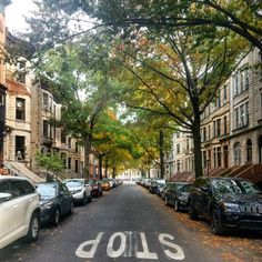 cars parked on the side of a street next to tall buildings with trees lining both sides