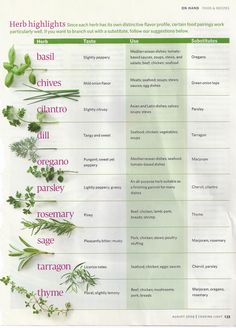 a poster with herbs and their names on it's side, showing the different types of herbs used in cooking