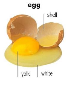 an egg shell and some eggshells on a white background with the words,