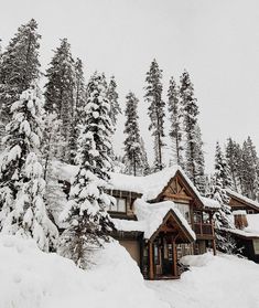 a house is covered in snow and surrounded by trees