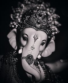 #ganesha #blessigs #qoutes #hope #trust #live #onelife #gratitude #uk #ind #usa #nz Ganesh Ji Black And White, Lord Ganesha Photos, Lord Ganesha Images Hd, Lord Ganesha Hd Wallpaper For Mobile, Wallpaper Of Ganesha, गनपती Photo, Ganpati Bappa Black And White, Beautiful Ganesha Pictures, Black Ganesha Wallpaper