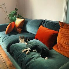 a cat laying on top of a green couch next to pillows and a potted plant