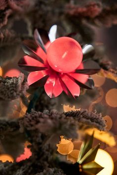 a red flower is hanging from the top of a christmas tree