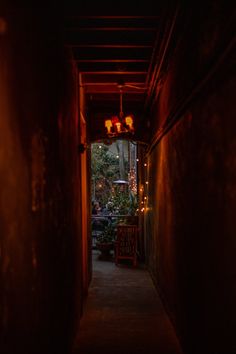 an alley way at night with lights on the ceiling and plants in potted pots