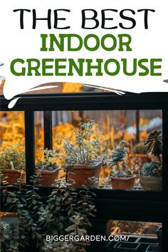 Best Indoor Greenhouse ideas, including tips on Decorating A Greenhouse, Small Greenhouse Shelving Ideas, and Cute Greenhouse Ideas. Explore Small Greenhouse Ideas Diy, Greenhouse Interior Design, and Greenhouse Furniture. Learn about Greenhouse Layout Interiors and Small Backyard Greenhouse solutions.