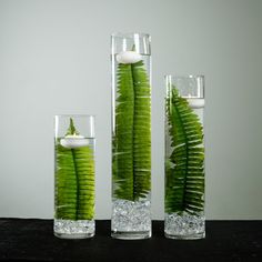 three tall vases filled with water and green plants next to each other on a table