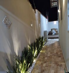 a long narrow hallway with plants on the side