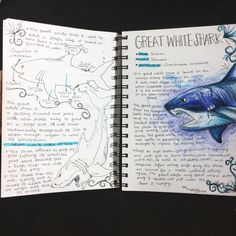 an open notebook with drawings of sharks and fish on the pages, which are colored in blue