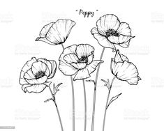 black and white drawing of poppies with the words happy written on it, in front of