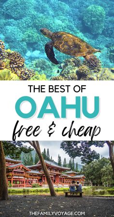 the best things to see in oahu, free and cheap