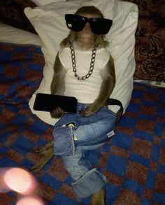 a monkey wearing sunglasses is sitting on a bed and holding a cell phone in its paws