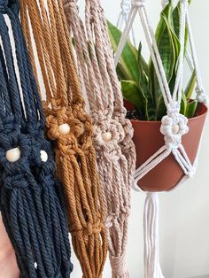 macrame rope hanging from the ceiling next to a potted plant