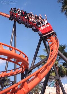 people are riding the roller coaster at an amusement park