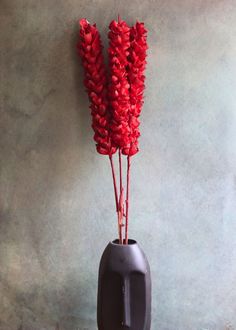 three red flowers in a black vase against a gray wall with concrete flooring underneath