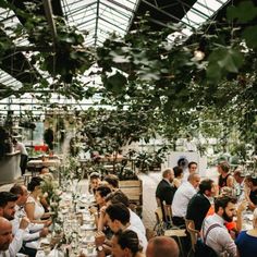 a large group of people sitting at tables in a greenhouse eating food and drinking wine