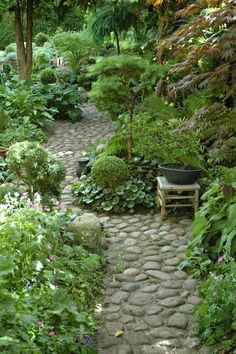 a stone path in the middle of a garden with lots of trees and plants around it