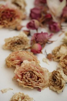 dried flowers are arranged on a white table top with petals scattered around them, including pink and red roses