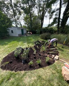 someone is digging in the yard with shovels and some plants on top of it