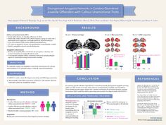 a poster with information about the different types of human brain functions and their corresponding structures