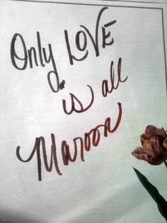 a piece of paper with the words only love is all moved written on it next to a flower