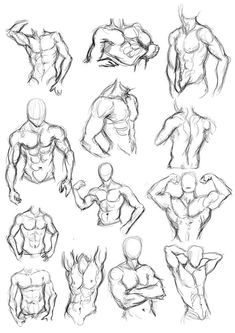 a bunch of different poses and muscles drawn in pencil on white paper with black ink