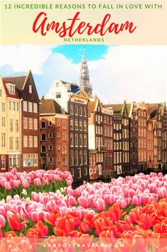 the cover of an illustrated book with tulips and buildings in the background