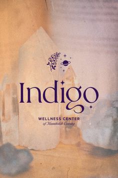 the cover of indigoo, a well - known book