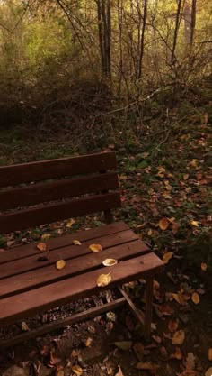 a wooden bench sitting in the middle of a forest with fallen leaves all over it