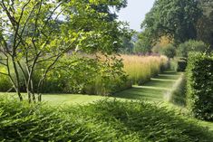 a lush green field with lots of trees and bushes