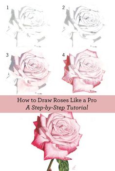 how to draw roses like a pro step - by - step guide for beginners