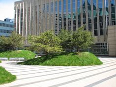 an office building with grass on the ground and trees growing out of it's sides