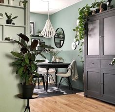 a dining room with green walls and wooden floors, potted plants on the table