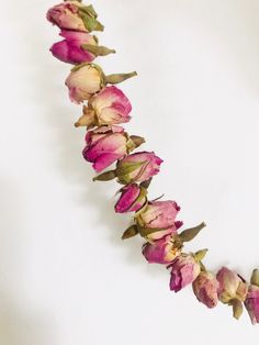 pink flowers are arranged in the shape of a long line on a white background with space for text