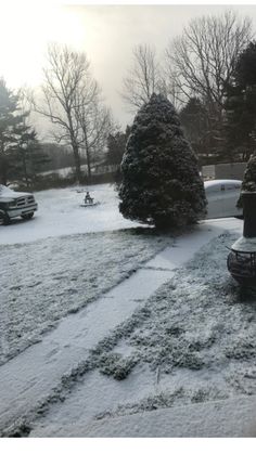 snow covers the ground in front of trees and parked cars