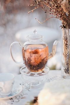 a glass teapot filled with water and dried flowers