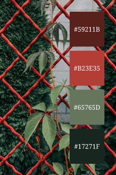 a red fence with some green plants growing on it and the words b2bee5 667 650d