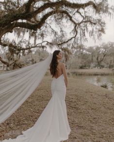 a woman in a white wedding dress standing under a tree with her veil blowing in the wind