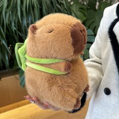 a person holding a brown teddy bear with a green ribbon around it's neck