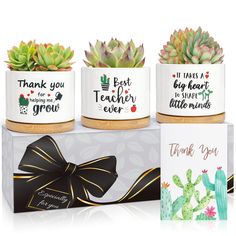 three ceramic pots with succulents and thank you for teacher's day