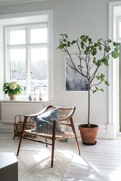 a living room filled with furniture and a potted tree in front of a window