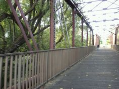 a person is walking across a bridge with trees on both sides and the walkway above them