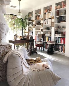 a living room filled with furniture and bookshelves next to a white dog laying on top of a couch