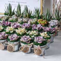 small potted succulents are on display for sale at a wedding reception