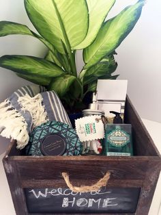 a wooden box filled with personal care items and a potted plant in the corner