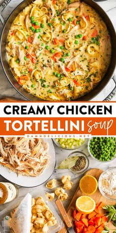 There's nothing like a bowl of this Creamy Chicken Tortellini Soup! Full of cheese tortellini and shredded chicken in a rich broth, this homemade soup is such a hearty dinner recipe. Warm up with this yummy comfort food! High Protein Tortellini Soup, Chicken Tortellini Soup Recipes, Soup Using Rotisserie Chicken, Easy One Pot Soup, Turkey Tortellini Soup, Creamy Chicken Tortellini Soup, One Pot Soup, Creamy Chicken Tortellini, Using Rotisserie Chicken