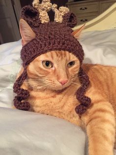 an orange cat wearing a knitted hat on top of a bed