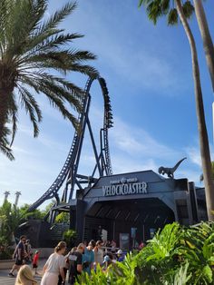 people are walking around in front of a roller coaster at the theme park, with palm trees and blue sky